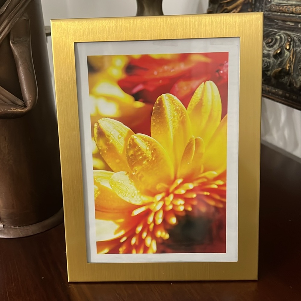 5x7 brass frame